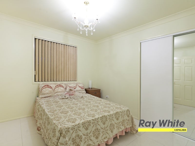 81 Tyberry Street, Chandler QLD 4155