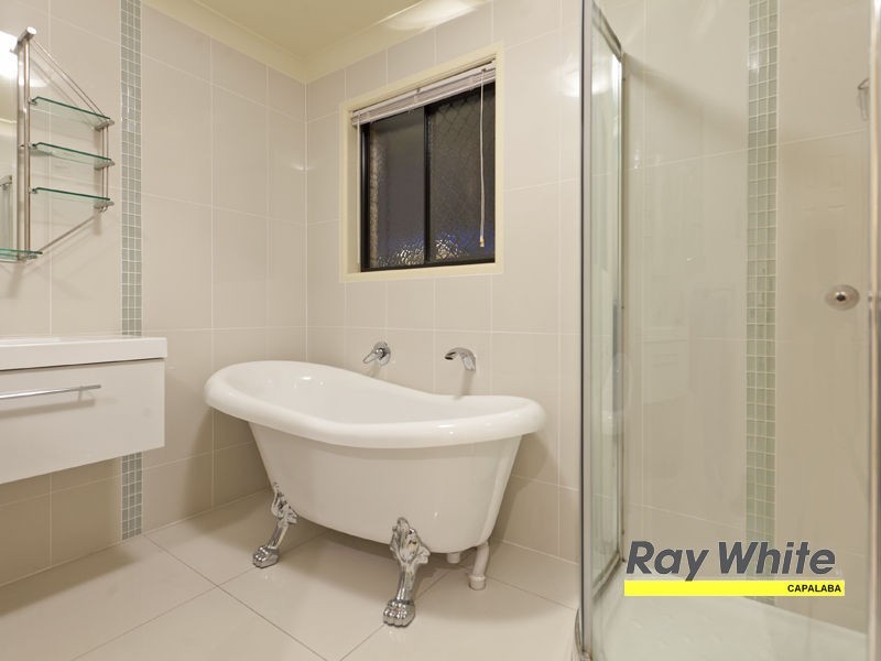 81 Tyberry Street, Chandler QLD 4155