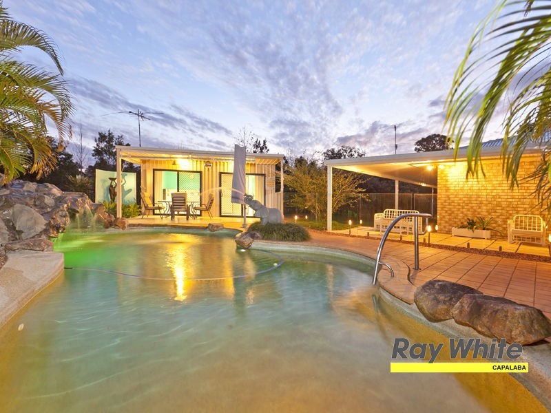 81 Tyberry Street, Chandler QLD 4155