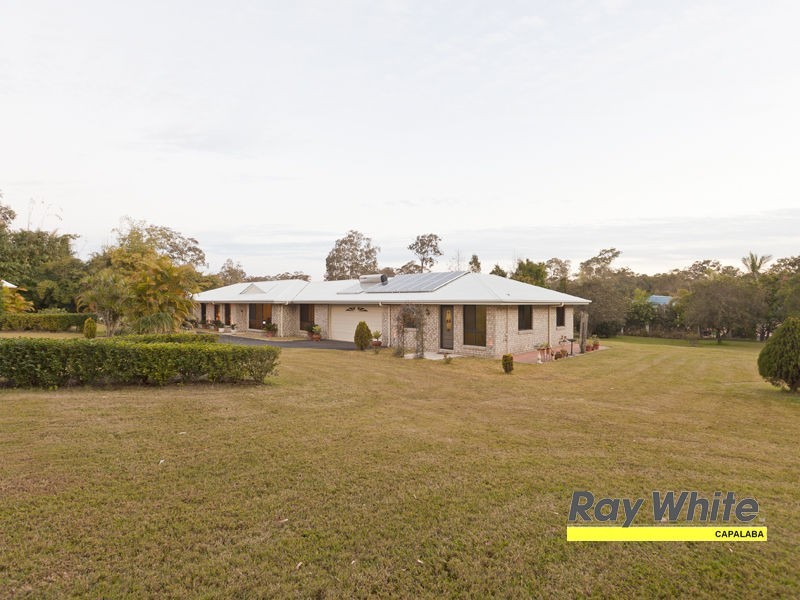 81 Tyberry Street, Chandler QLD 4155
