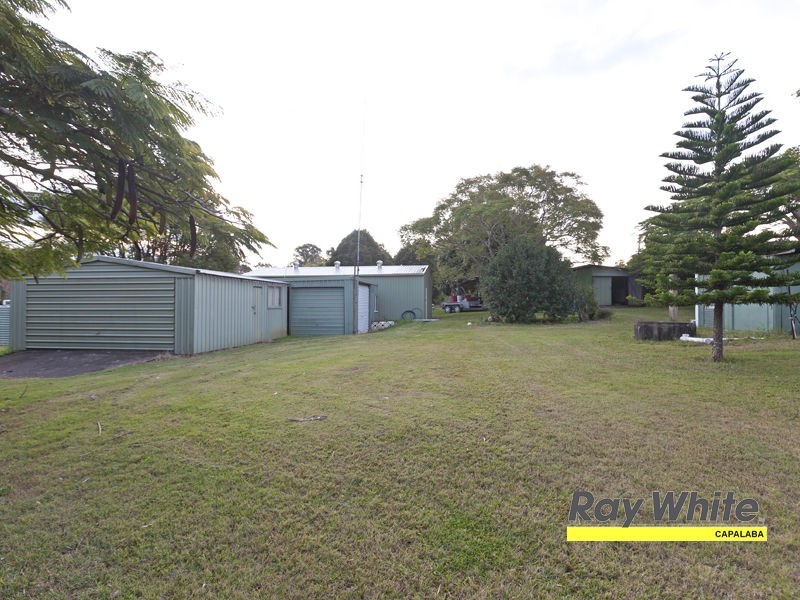 81 Tyberry Street, Chandler QLD 4155