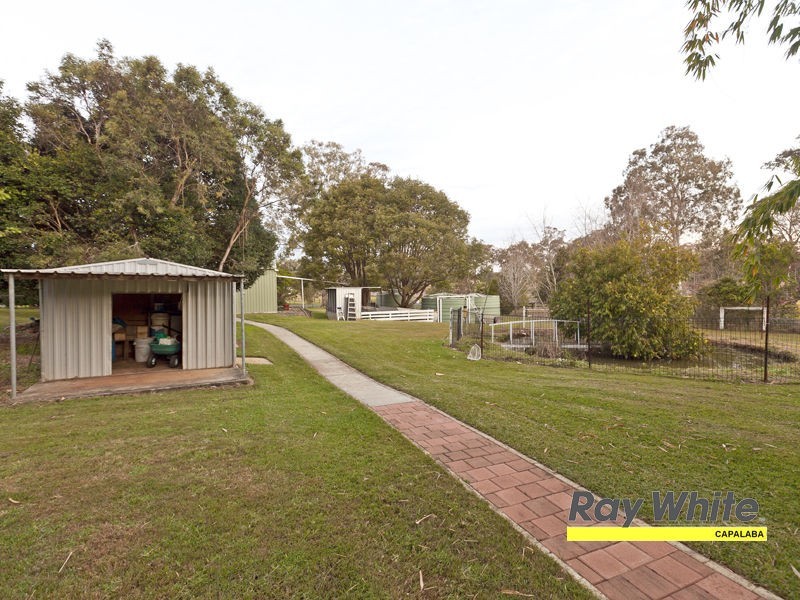 81 Tyberry Street, Chandler QLD 4155