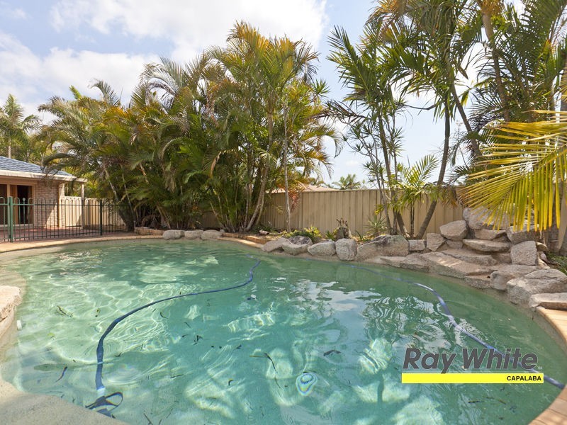 38 Spirit Drive, Capalaba QLD 4157
