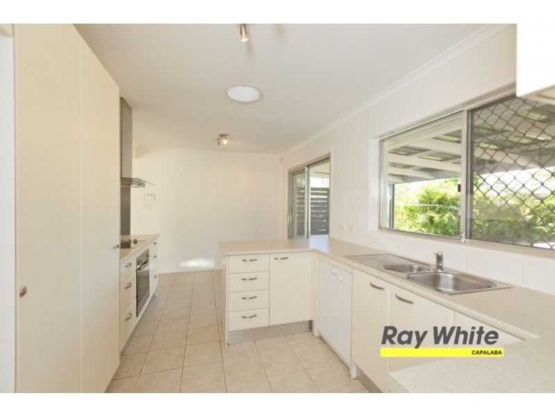 19 Allenby Road, Alexandra Hills QLD 4161