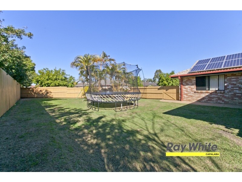8 Cumulus Pl, Birkdale QLD 4159