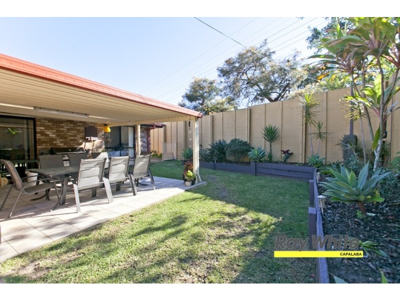 8 Cumulus Pl, Birkdale QLD 4159