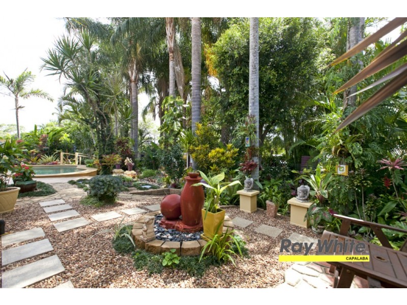 10 Randwick Street, Capalaba QLD 4157