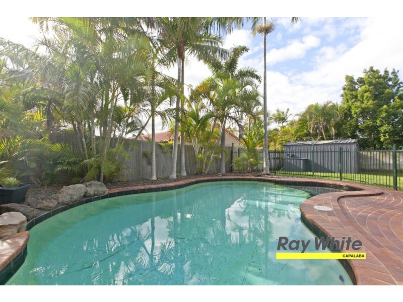 37 Gundagai Drive, Capalaba QLD 4157