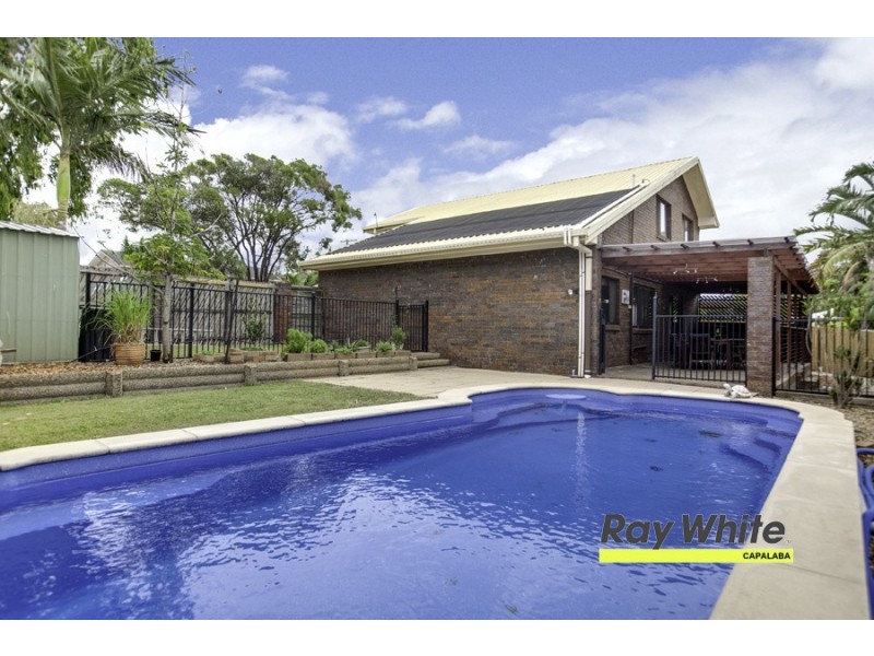 10 Hamersley Circuit, Alexandra Hills QLD 4161