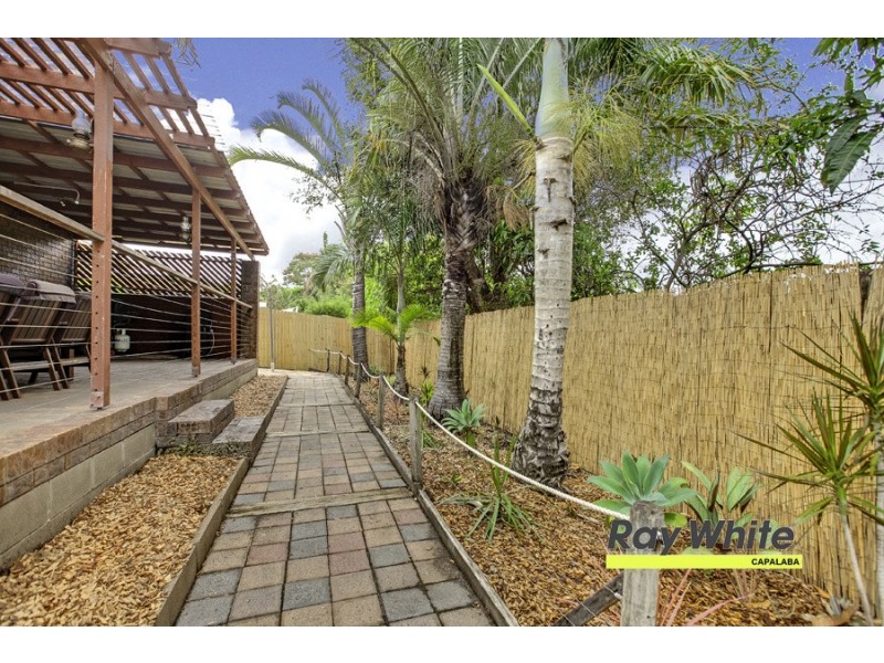 10 Hamersley Circuit, Alexandra Hills QLD 4161