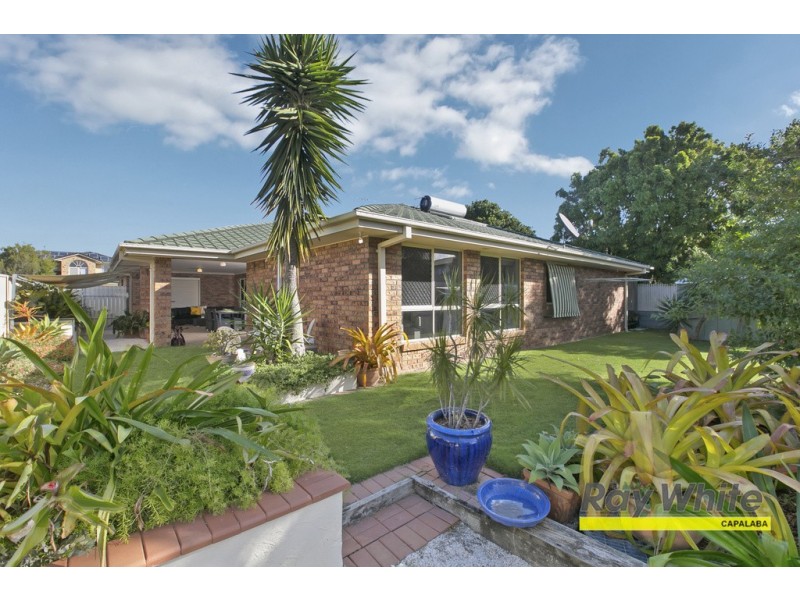 13 Excelsia Court, Capalaba QLD 4157