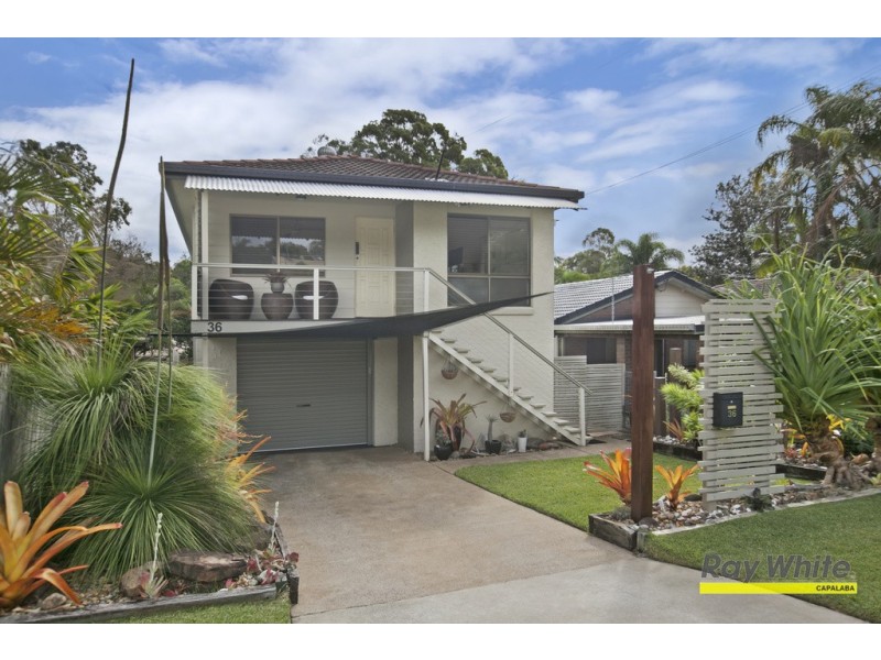 36 Winship Street, Ormiston QLD 4160