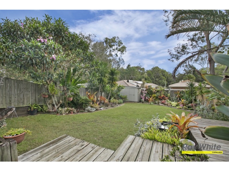 36 Winship Street, Ormiston QLD 4160