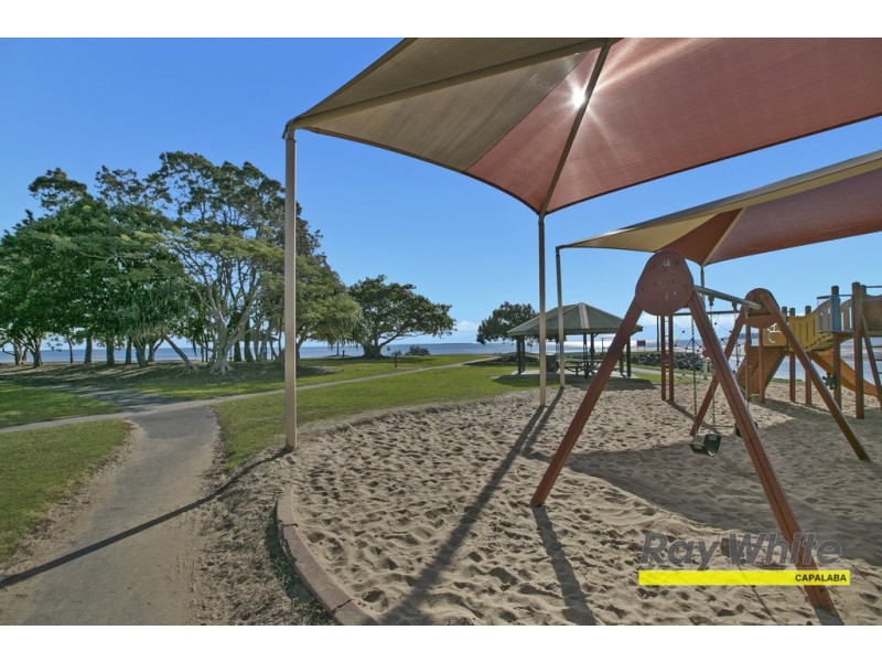 42 Agnes Street, Birkdale QLD 4159