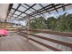 52 Makaha Drive, Birkdale QLD 4159
