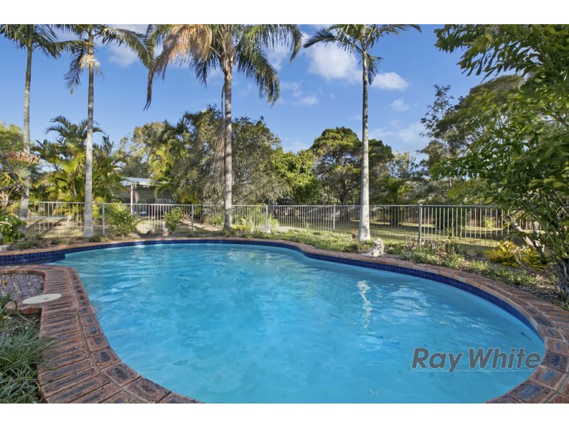 13 Caston Court, Birkdale QLD 4159