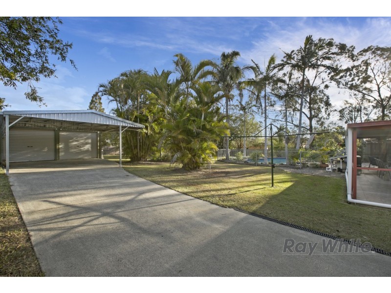 13 Caston Court, Birkdale QLD 4159