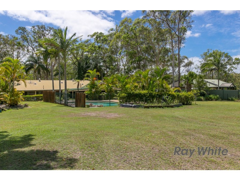 6 Firtree Street, Capalaba QLD 4157