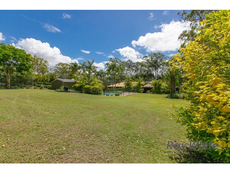 6 Firtree Street, Capalaba QLD 4157
