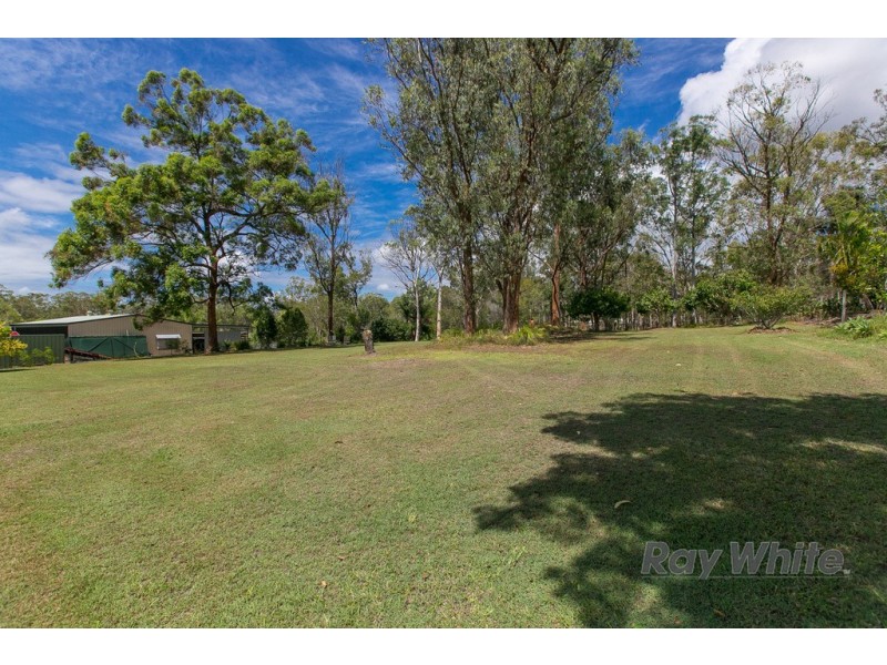 6 Firtree Street, Capalaba QLD 4157