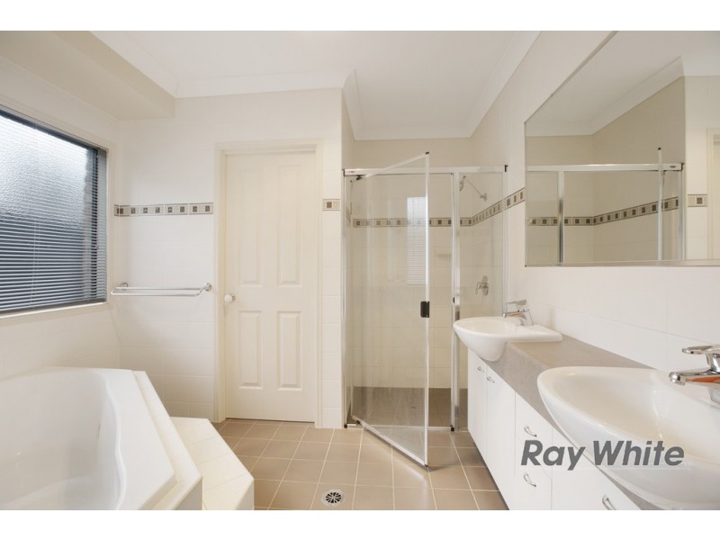 17 Surman Street, Birkdale QLD 4159