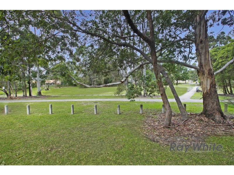 17 Surman Street, Birkdale QLD 4159