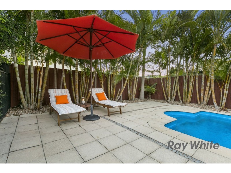 12 Macleay Place, Thornlands QLD 4164