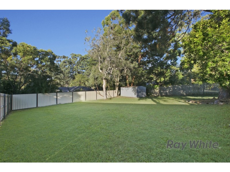 61 Spoonbill Street, Birkdale QLD 4159