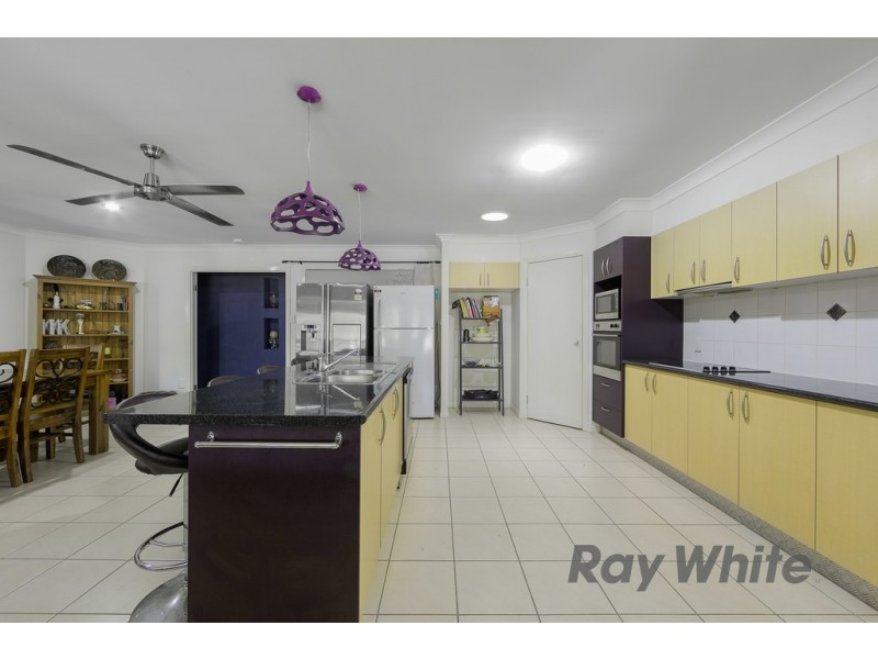 7 Aphrodite Court, Cleveland QLD 4163