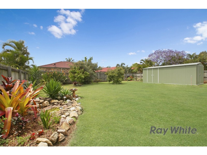 57 McLeod Street, Cleveland QLD 4163