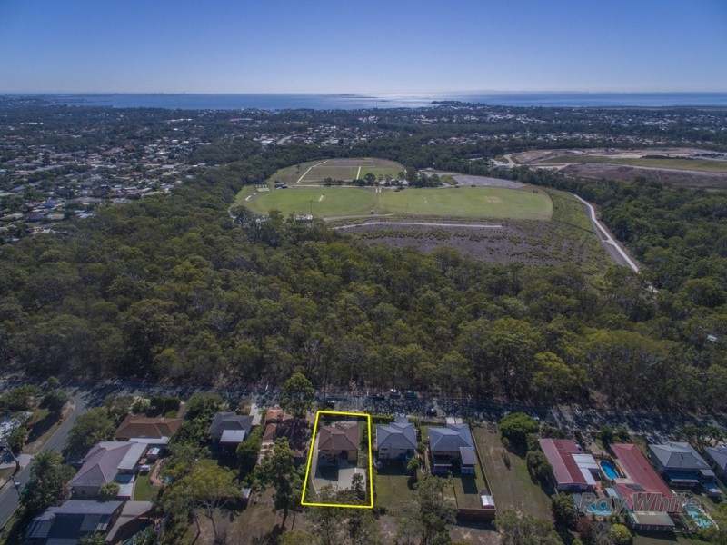 17 William Street, Alexandra Hills QLD 4161
