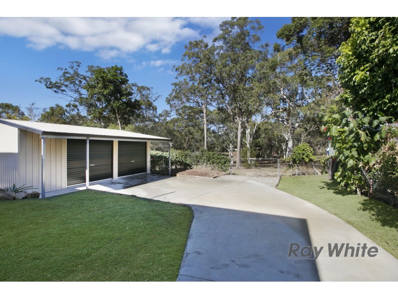 17 William Street, Alexandra Hills QLD 4161
