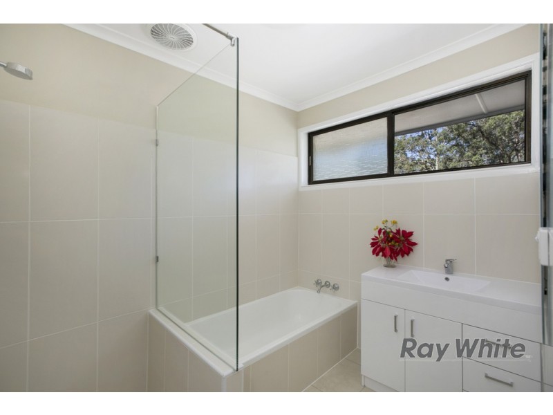 17 William Street, Alexandra Hills QLD 4161