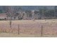 Yarraman QLD 4614