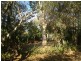 6 Bremner Street, Blackwater QLD 4717