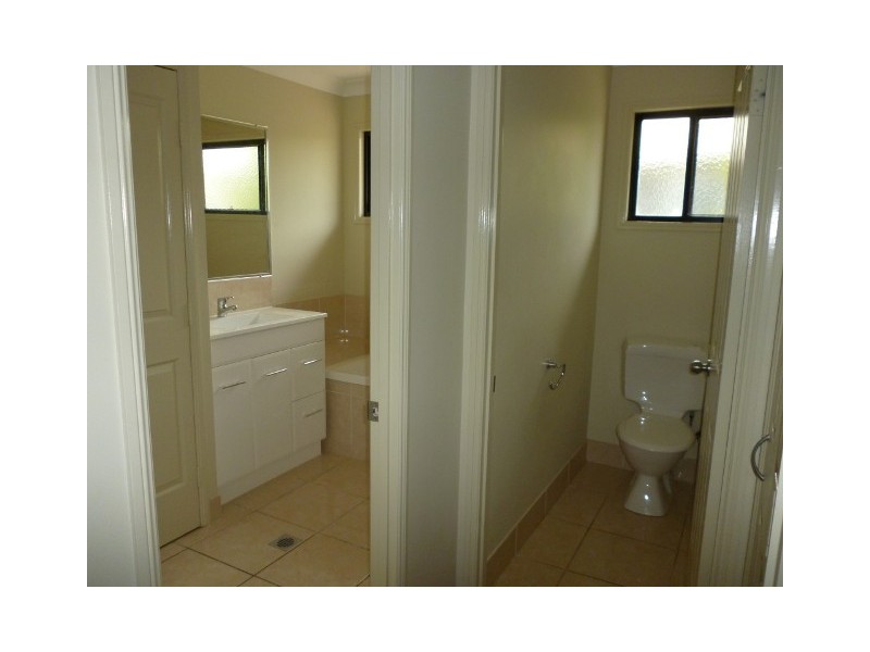 14 pandanus, Blackwater QLD 4717