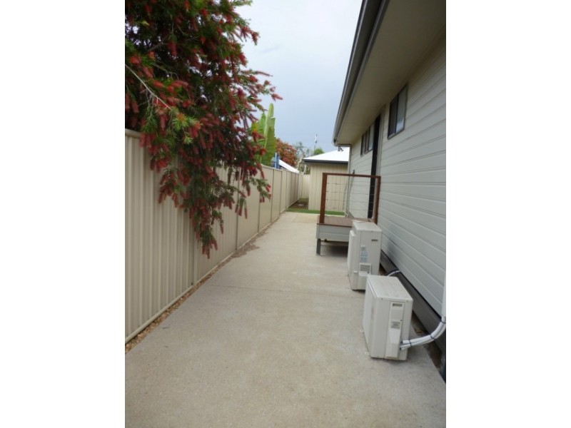 14 pandanus, Blackwater QLD 4717