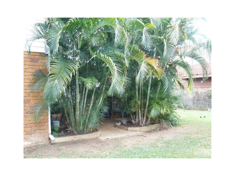 Blackwater QLD 4717