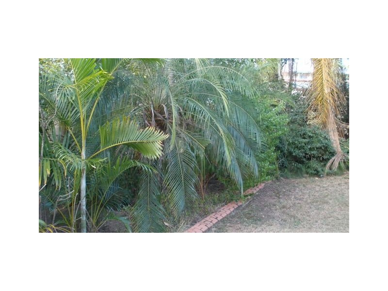 Blackwater QLD 4717