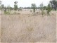 Dingo QLD 4702