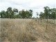 Dingo QLD 4702