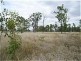 Dingo QLD 4702
