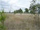 Dingo QLD 4702