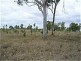 Dingo QLD 4702