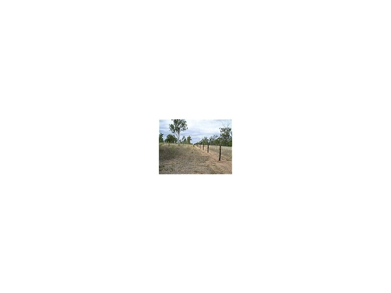 Dingo QLD 4702
