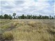 Dingo QLD 4702