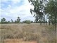 Dingo QLD 4702