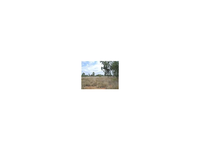 Dingo QLD 4702