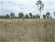 Dingo QLD 4702