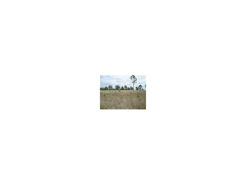 Dingo QLD 4702